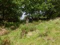 DSCF0242.JPG
