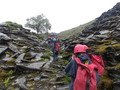100_0006.JPG