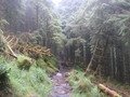 100_0017.JPG