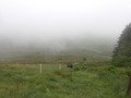 100_0078.JPG