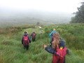 100_0082.JPG