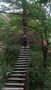 DSCF4031.JPG