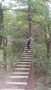 DSCF4042.JPG