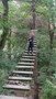 DSCF4050.JPG