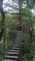 DSCF4054.JPG