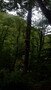 DSCF4061.JPG