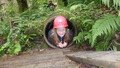 DSCF4084.JPG