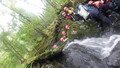 S0243204.JPG