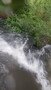 S0673266.JPG
