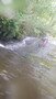S0683267.JPG