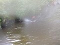 DSCF0350.JPG