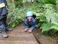 DSCF0266.JPG