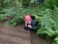 DSCF0268.JPG