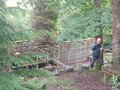 DSCF0284.JPG