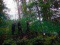 DSCF0293.JPG
