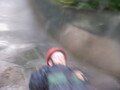 DSCF0297.JPG