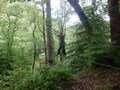 DSCF0313.JPG