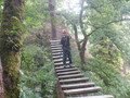 DSCF0315.JPG