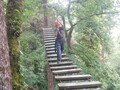 DSCF0320.JPG