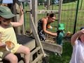 IMG_9198.jpeg