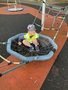 IMG_0298.jpeg