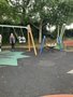IMG_0290.jpeg