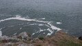 DSCF4126.JPG