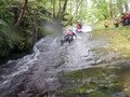 DSCF1037.JPG