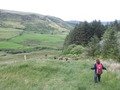 100_0058.JPG