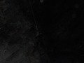 100_0034.JPG