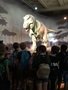 IMG_0005.jpeg