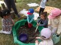 100_0013 - Copy.JPG