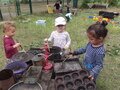 100_0041.JPG