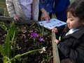 100_0063.JPG
