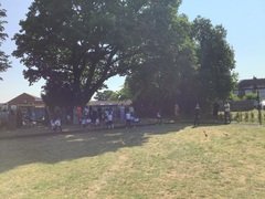 IMG_0551.JPG