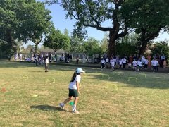 IMG_0554.JPG