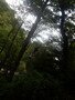 DSCF4112.JPG