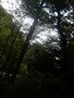 DSCF4113.JPG