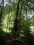 DSCF4115.JPG