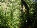 DSCF4126.JPG