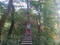 DSCF4135.JPG