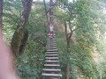 DSCF4140.JPG
