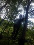 DSCF4145.JPG