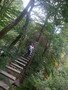 DSCF4151.JPG
