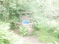 DSCF4154.JPG