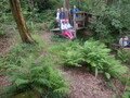 DSCF4155.JPG