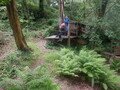 DSCF4159.JPG