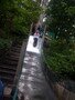 DSCF4166.JPG