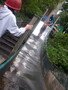 DSCF4168.JPG