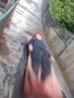 DSCF4175.JPG